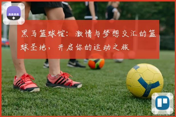 黑马篮球馆：激情与梦想交汇的篮球圣地，开启你的运动之旅