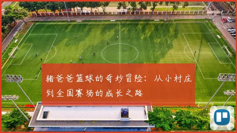 猪爸爸篮球的奇妙冒险：从小村庄到全国赛场的成长之路