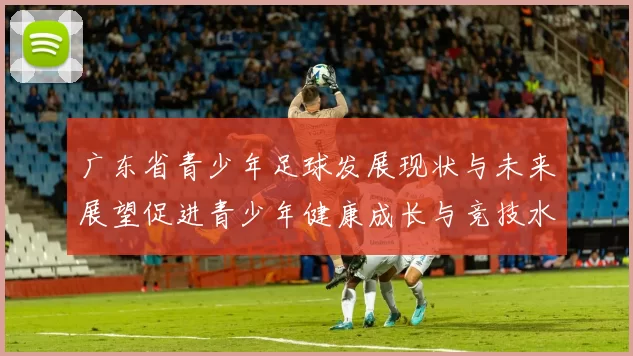 广东省青少年足球发展现状与未来展望促进青少年健康成长与竞技水平提升